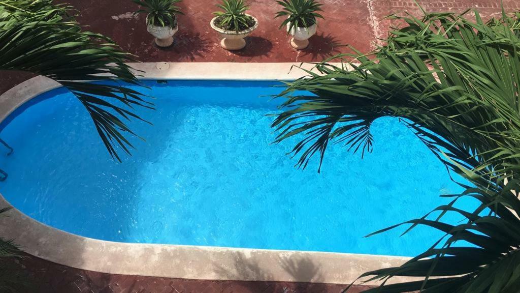 Arcoiris Share Apartment Bavaro Пунта Кана Екстериор снимка